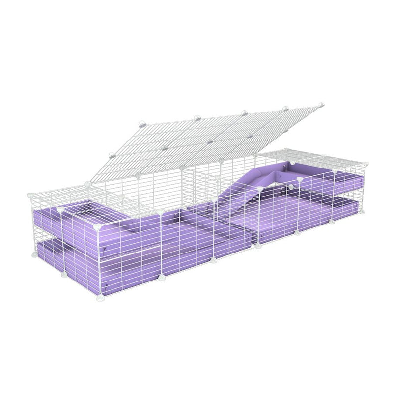 A 6x2 white C&C cage with lid divider loft ramp for guinea pig fighting or quarantine with lilac coroplast from brand kavee