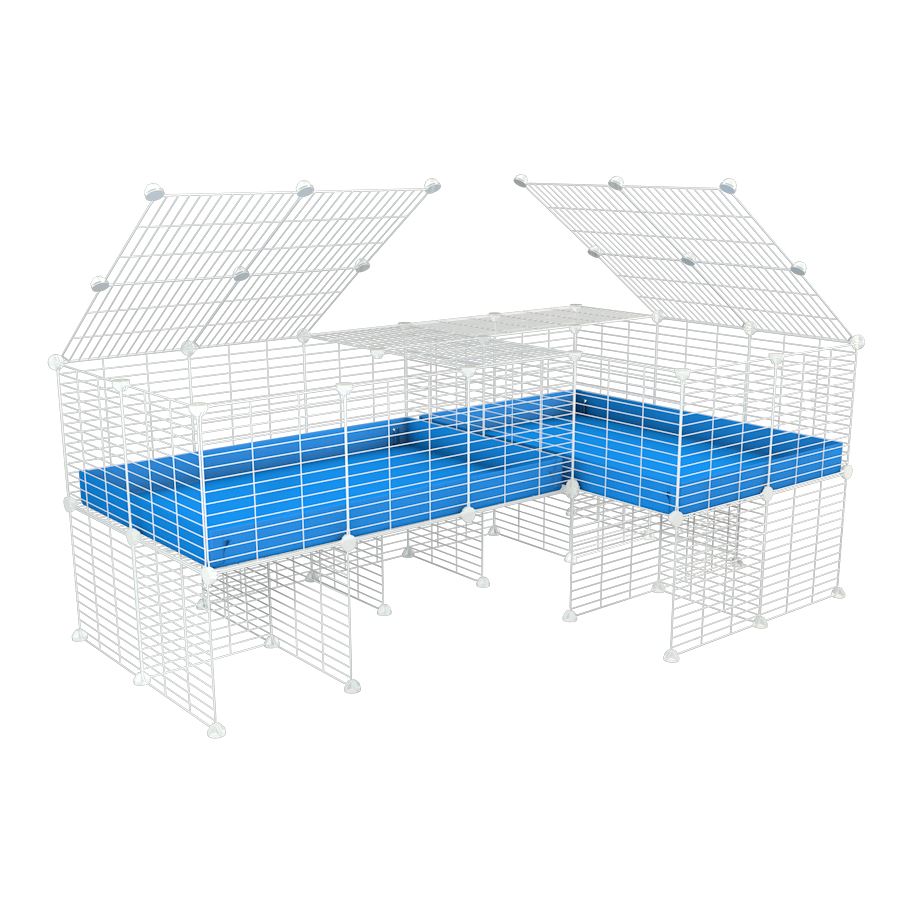 A 6x2 L-shape white C&C cage with lid divider stand for guinea pig fighting or quarantine with blue coroplast from brand kavee