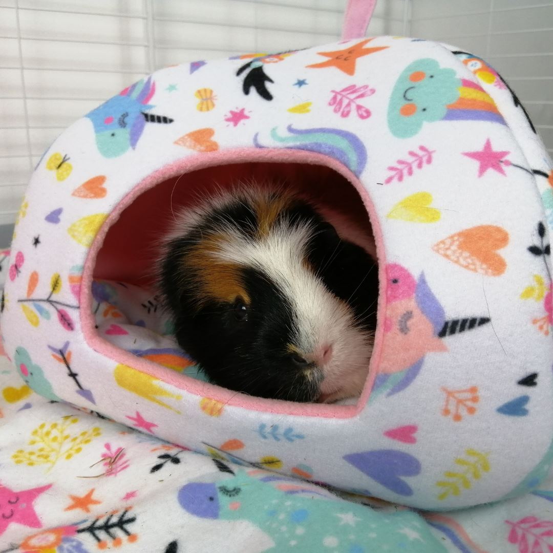 Fleece Hideout for Guinea Pigs Pink Unicorn Kavee Cages