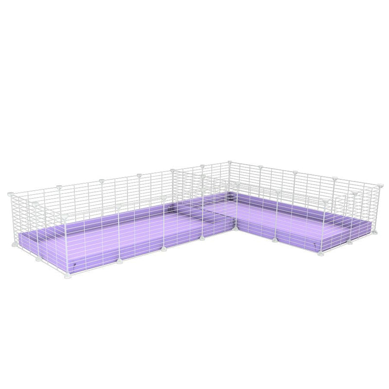 A 8x2 L-shape white C&C cage with divider for guinea pig fighting or quarantine with lilac coroplast from brand kavee