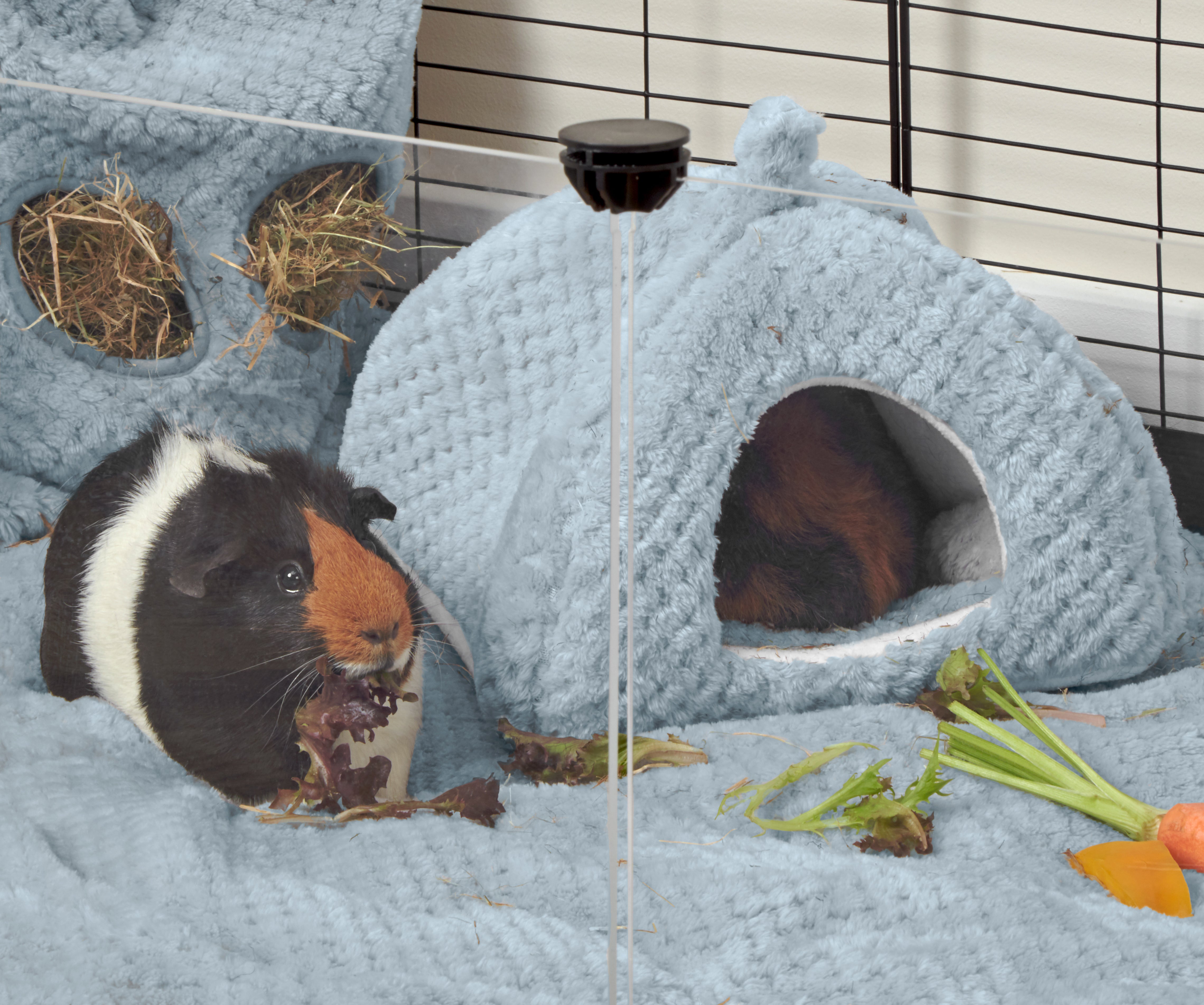 Fleece guinea pig house best sale